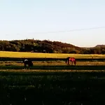 Apartma Za Kopcem