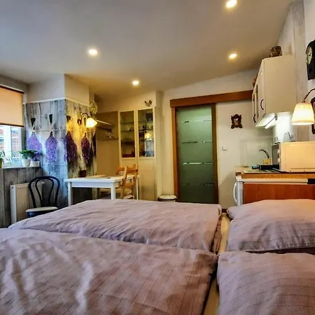 Apartment Apartma Za Kopcem