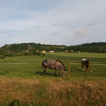 Lejlighed Apartma Za Kopcem Boskovice