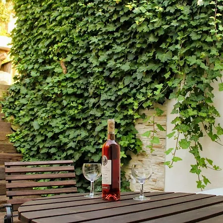 Apartma Za Kopcem Boskovice