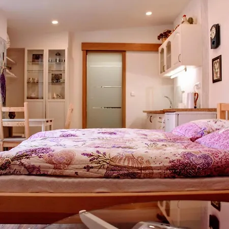 Lejlighed Apartma Za Kopcem Boskovice