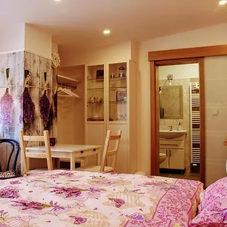 Lejlighed Apartma Za Kopcem *