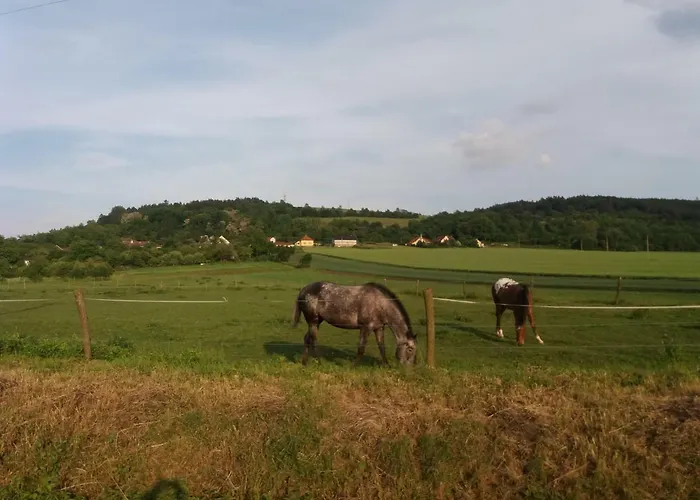 Apartamento Za Kopcem Boskovice
