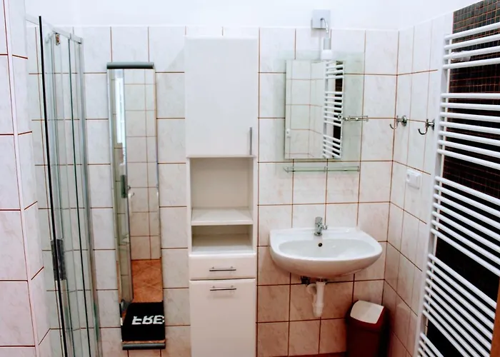 Apartma Za Kopcem 博斯科维采