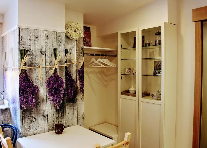 Apartma Za Kopcem بوسكوفيتسي