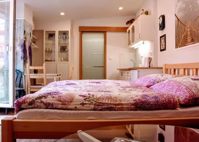 Apartamento Za Kopcem Boskovice